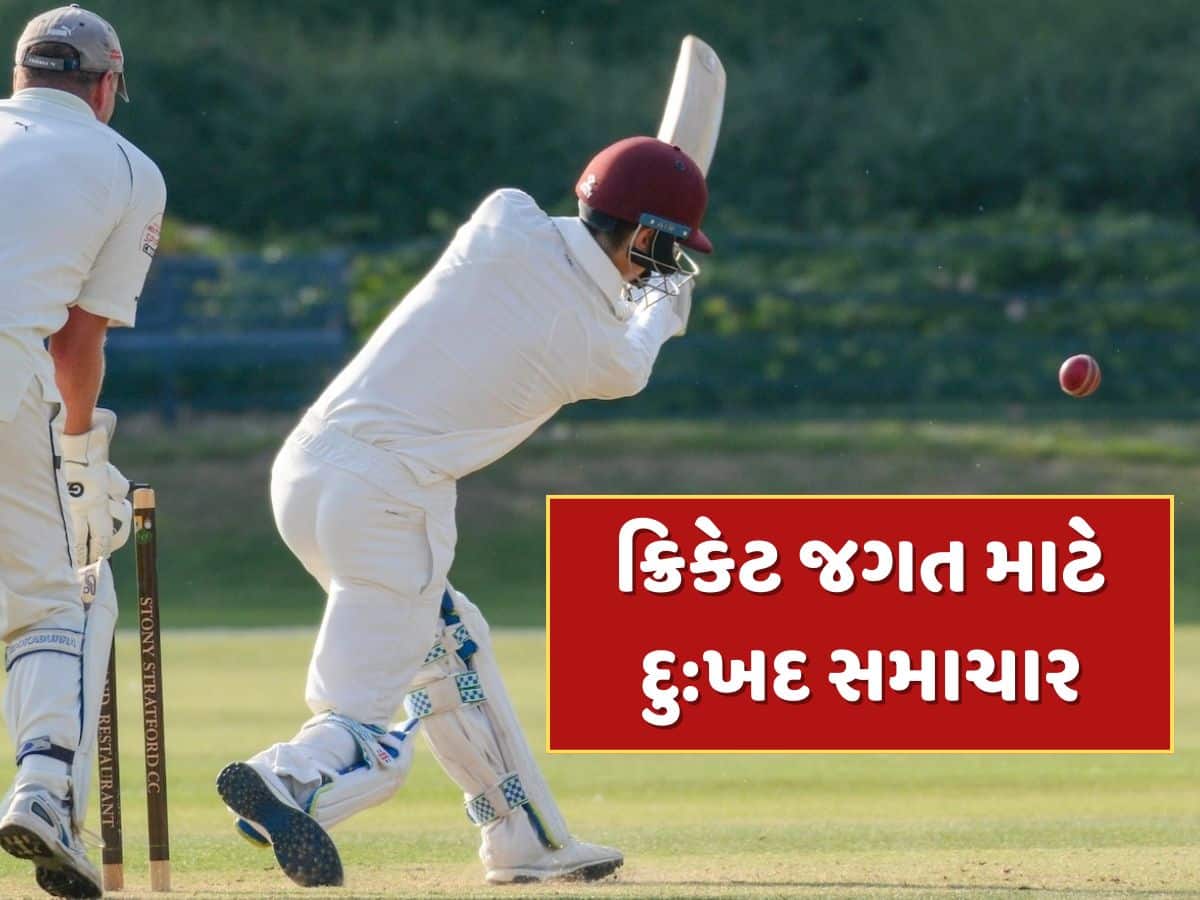 ક્રિકેટ જગત માટે દુ:ખદ સમાચાર...ટ્રિપલ સેન્ચુરી ફટકારનાર આ ખેલાડીએ દુનિયાને કહ્યું અલવિદા