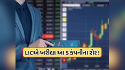 LIC એ આ 5 કંપનીઓમાં પોતાનો હિસ્સો વધાર્યો, શું તમારી પાસે તેમાંથી કોઈ પર દાવ છે?