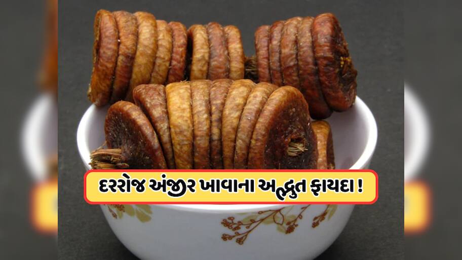 દરરોજ એક અંજીર ખાવાથી થાય છે અદ્ભુત ફાયદા, આ 5 મોટા સ્વાસ્થ્ય લાભો જાણ્યા પછી, તમે પણ તેનું સેવન કરવાનું કરી દેશો શરૂ 