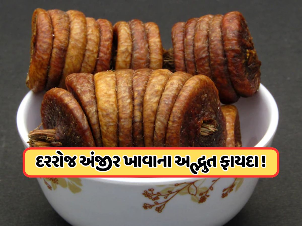 દરરોજ એક અંજીર ખાવાથી થાય છે અદ્ભુત ફાયદા, આ 5 મોટા સ્વાસ્થ્ય લાભો જાણ્યા પછી, તમે પણ તેનું સેવન કરવાનું કરી દેશો શરૂ દરરોજ એક અંજીર ખાવાથી થાય છે અદ્ભુત ફાયદા, આ 5 મોટા સ્વાસ્થ્ય લાભો જાણ્યા પછી, તમે પણ તેનું સેવન કરવાનું કરી દેશો શરૂ