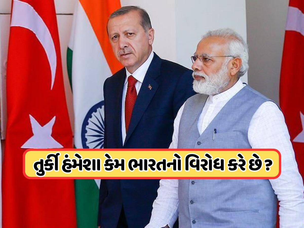 પાકિસ્તાનને સાથ આપનારા તુર્કીને ભારત સાથે છે શું સમસ્યા? કઈ વાતનો કાઢી રહ્યો છે ગુસ્સો ?