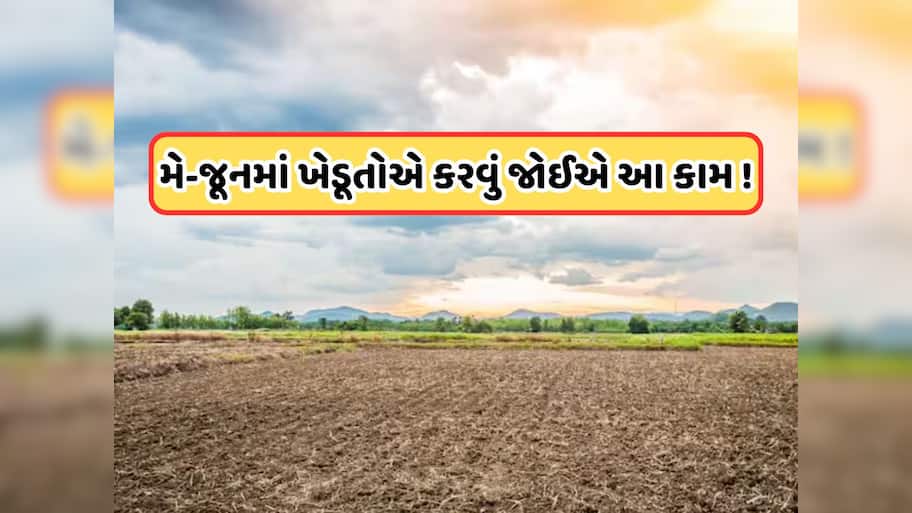 ખેડૂતો માટે મહત્વપૂર્ણ સલાહ, ઉત્પાદન વધારવા માટે ચોમાસા પહેલા કરો આ કામ