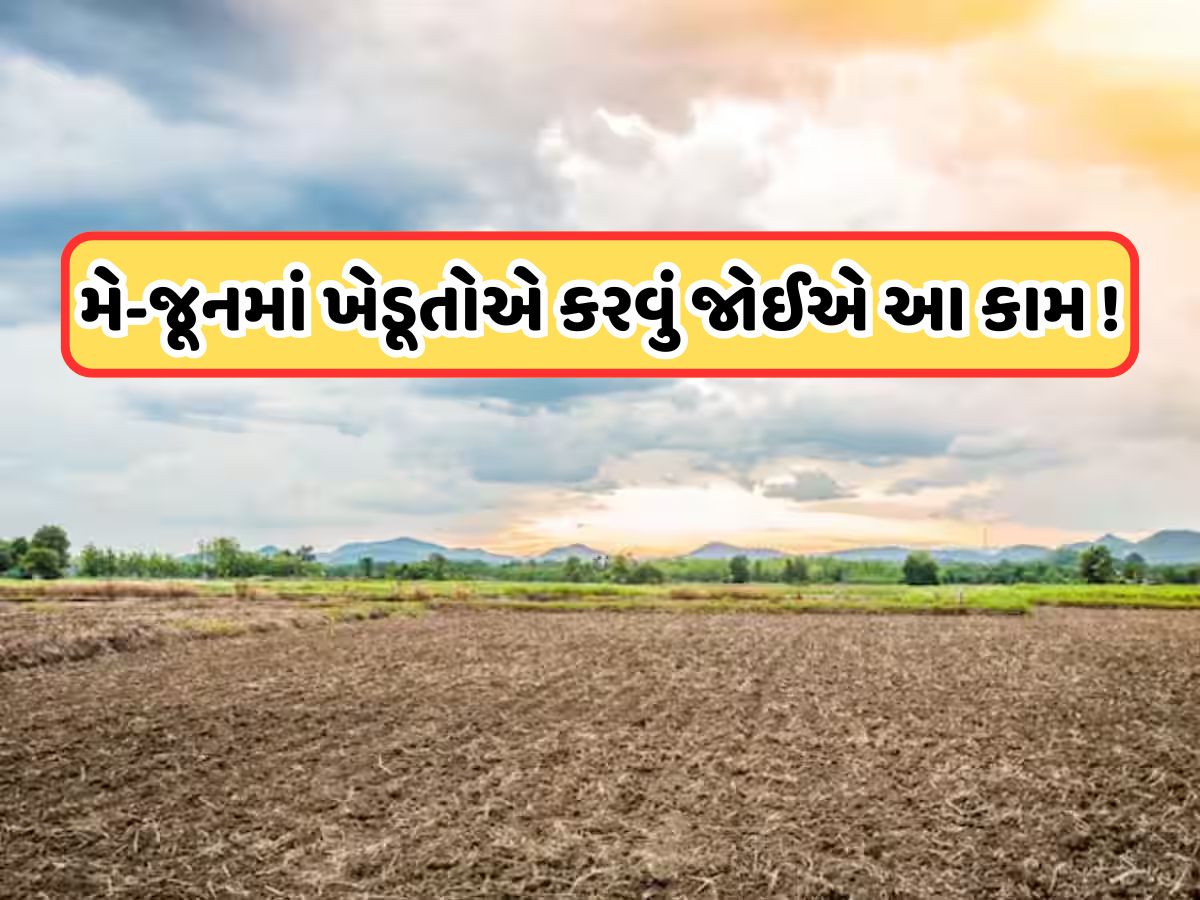 ખેડૂતો માટે મહત્વપૂર્ણ સલાહ, ઉત્પાદન વધારવા માટે ચોમાસા પહેલા કરો આ કામ ખેડૂતો માટે મહત્વપૂર્ણ સલાહ, ઉત્પાદન વધારવા માટે ચોમાસા પહેલા કરો આ કામ