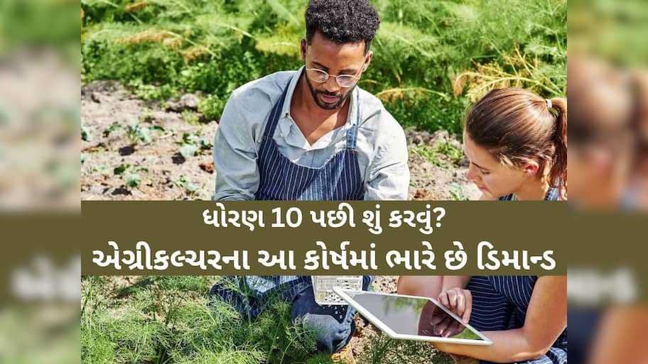 ધો. 10 પછી શું કરવું? દાંતીવાડા કૃષિ યુનિવર્સિટી ખાતે ચાલી રહ્યા છે આ કૃષિ અભ્યાસક્રમો, માર્કેટમાં ભારે ડિમાન્ડ