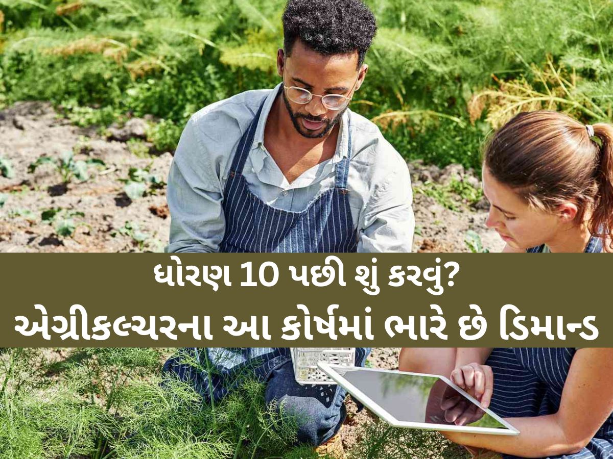 ધો. 10 પછી શું કરવું? દાંતીવાડા કૃષિ યુનિવર્સિટી ખાતે ચાલી રહ્યા છે આ કૃષિ અભ્યાસક્રમો, માર્કેટમાં ભારે ડિમાન્ડ ધો. 10 પછી શું કરવું? દાંતીવાડા કૃષિ યુનિવર્સિટી ખાતે ચાલી રહ્યા છે આ કૃષિ અભ્યાસક્રમો, માર્કેટમાં ભારે ડિમાન્ડ