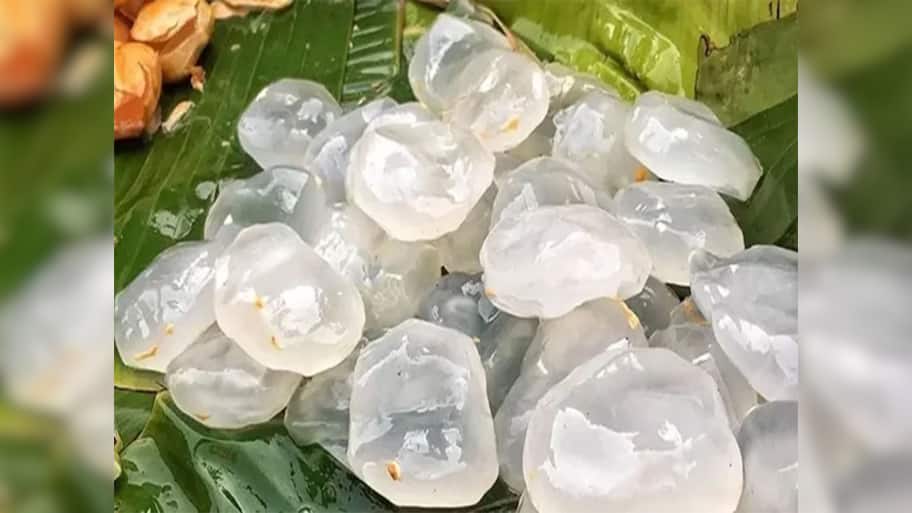 Ice Apple: શરીર માટે નેચરલ કૂલર છે ગલેલી, ગરમીમાં આ ફળ ખાવાથી બીમારીઓ આસપાસ પણ ફરકતી નથી