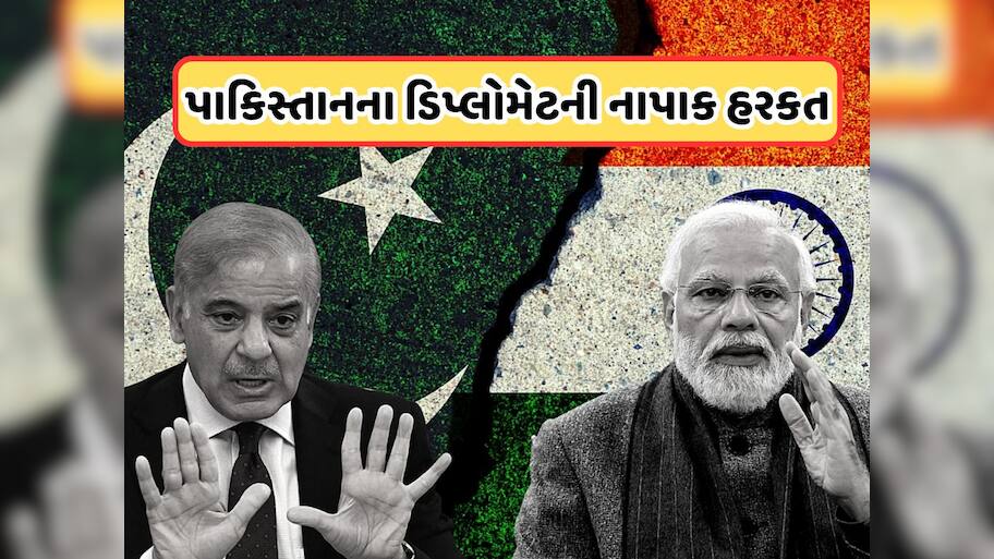 India Pakistan Tension: ભારતની પાકિસ્તાન પર વધુ એક 'સ્ટ્રાઈક', આ લોકોને 24 કલાકમાં દેશ છોડવાનો આદેશ