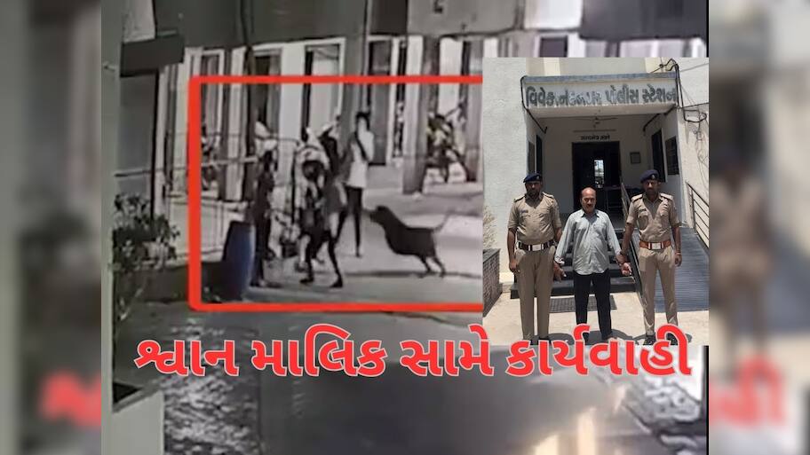અમદાવાદમાં શ્વાનના હુમલામાં બાળકીના મોતનો મામલો, પોલીસે શ્વાન માલિક દિલીપ પટેલની કરી ધરપકડ