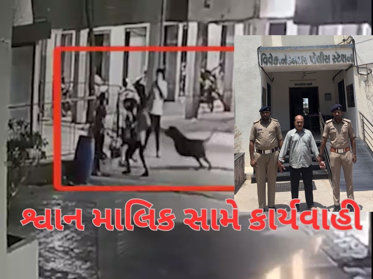 અમદાવાદમાં શ્વાનના હુમલામાં બાળકીના મોતનો મામલો, પોલીસે શ્વાન માલિક દિલીપ પટેલની કરી ધરપકડ અમદાવાદમાં શ્વાનના હુમલામાં બાળકીના મોતનો મામલો, પોલીસે શ્વાન માલિક દિલીપ પટેલની કરી ધરપકડ