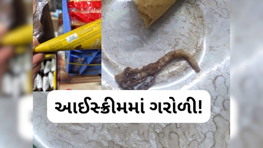 ગુજરાતની સૌથી જાણીતી 'આઈસ્ક્રીમ' કંપનીના કોનમાં નીકળી ગરોળી, AMCએ શરૂ કરી તપાસ