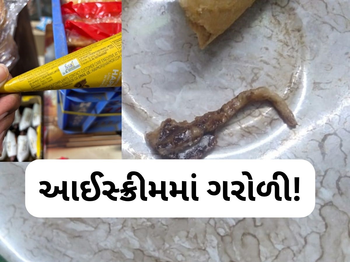 ગુજરાતની સૌથી જાણીતી 'આઈસ્ક્રીમ' કંપનીના કોનમાં નીકળી ગરોળી, AMCએ શરૂ કરી તપાસ ગુજરાતની સૌથી જાણીતી 'આઈસ્ક્રીમ' કંપનીના કોનમાં નીકળી ગરોળી, AMCએ શરૂ કરી તપાસ
