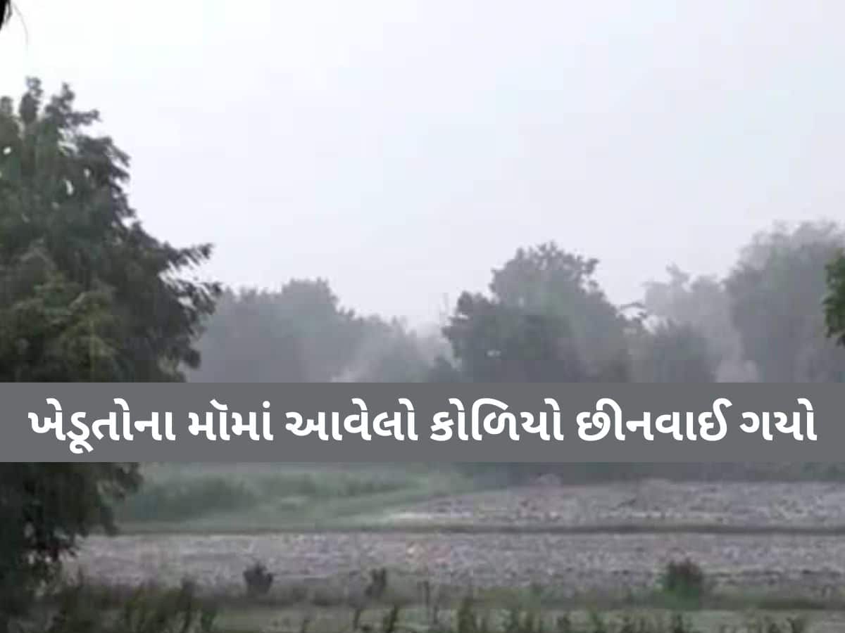  ગુજરાતમાં અહીં આંઘી, વંટોળ અને માવઠાએ ખેડુતોની કરી દુર્દશા! આ પાકનો સોથ વળી ગયો, ભારે તારાજી