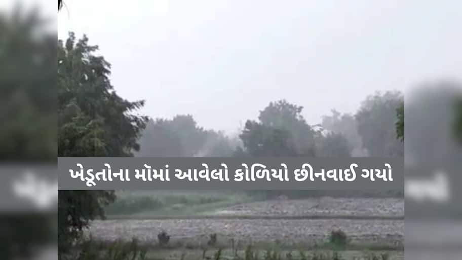  ગુજરાતમાં અહીં આંઘી, વંટોળ અને માવઠાએ ખેડુતોની કરી દુર્દશા! આ પાકનો સોથ વળી ગયો, ભારે તારાજી