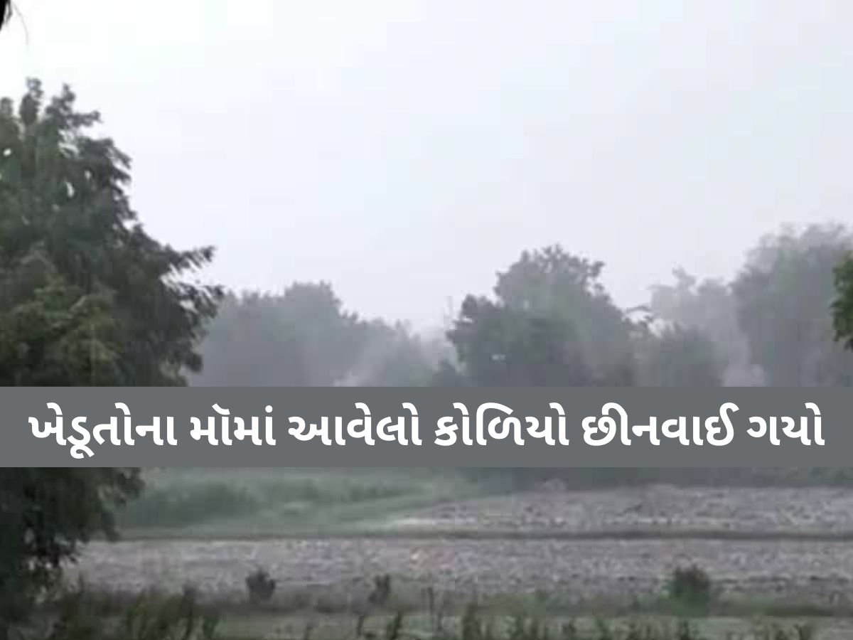 ગુજરાતમાં અહીં આંઘી, વંટોળ અને માવઠાએ ખેડુતોની કરી દુર્દશા! આ પાકનો સોથ વળી ગયો, ભારે તારાજી ગુજરાતમાં અહીં આંઘી, વંટોળ અને માવઠાએ ખેડુતોની કરી દુર્દશા! આ પાકનો સોથ વળી ગયો, ભારે તારાજી