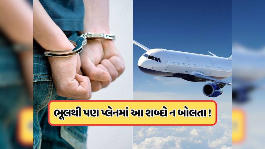 પ્લેનમાં કે એરપોર્ટ પર આ શબ્દોનો ઉપયોગ પડી શકે છે ભારે, થઈ શકે છે કાનૂની કાર્યવાહી
