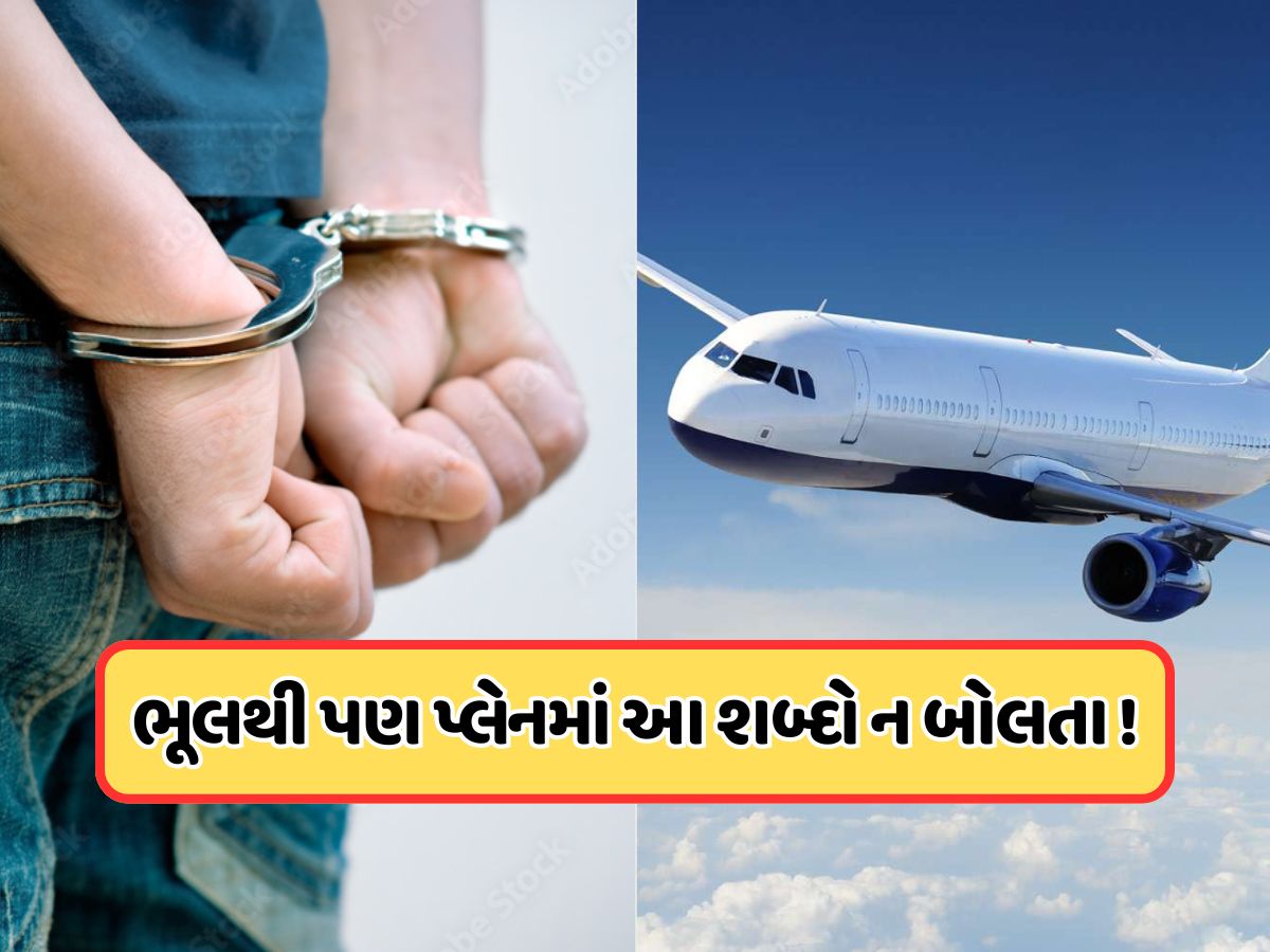 પ્લેનમાં કે એરપોર્ટ પર આ શબ્દોનો ઉપયોગ પડી શકે છે ભારે, થઈ શકે છે કાનૂની કાર્યવાહી પ્લેનમાં કે એરપોર્ટ પર આ શબ્દોનો ઉપયોગ પડી શકે છે ભારે, થઈ શકે છે કાનૂની કાર્યવાહી