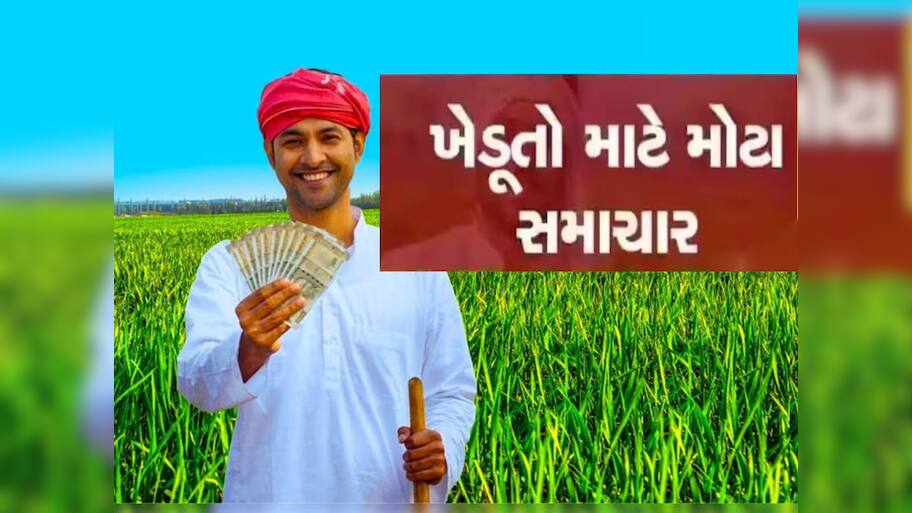 ગુજરાત સરકારની ખેડૂતલક્ષી મહત્વની જાહેરાત, આ તારીખથી શરૂ થશે ઉનાળુ મગની ટેકાના ભાવે ખરીદી