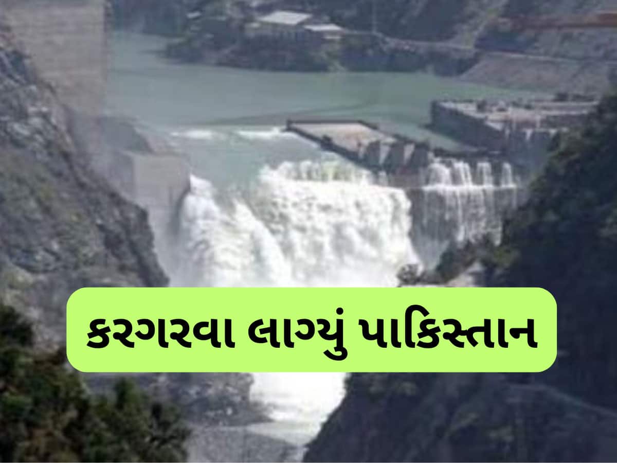 પાકિસ્તાનનું ગળું સૂકાયું, ઝોળી ફેલાવીને કરગરવા લાગ્યું- સિંધુ જળ સંધિ પર ભારત વિચાર કરે