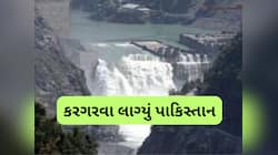 પાકિસ્તાનનું ગળું સૂકાયું, ઝોળી ફેલાવીને આજીજી કરી- સિંધુ જળ સંધિ પર ભારત વિચાર કરે