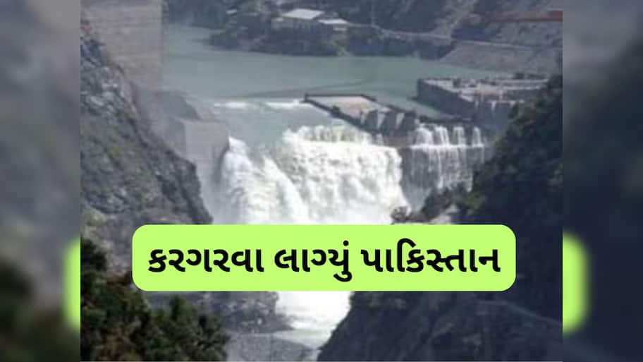 પાકિસ્તાનનું ગળું સૂકાયું, ઝોળી ફેલાવીને કરગરવા લાગ્યું- સિંધુ જળ સંધિ પર ભારત વિચાર કરે