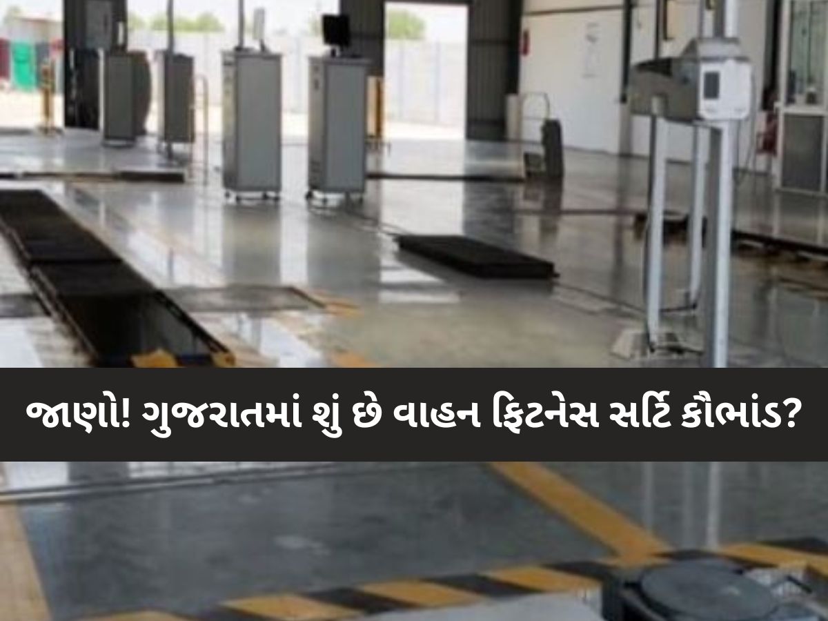 'તમારા વાહનની ફિટનેસ બરોબર હોય કે ના હોય', આ જિલ્લામાં મળી જાય છે ફિટનેસ સર્ટી! 'તમારા વાહનની ફિટનેસ બરોબર હોય કે ના હોય', આ જિલ્લામાં મળી જાય છે ફિટનેસ સર્ટી!