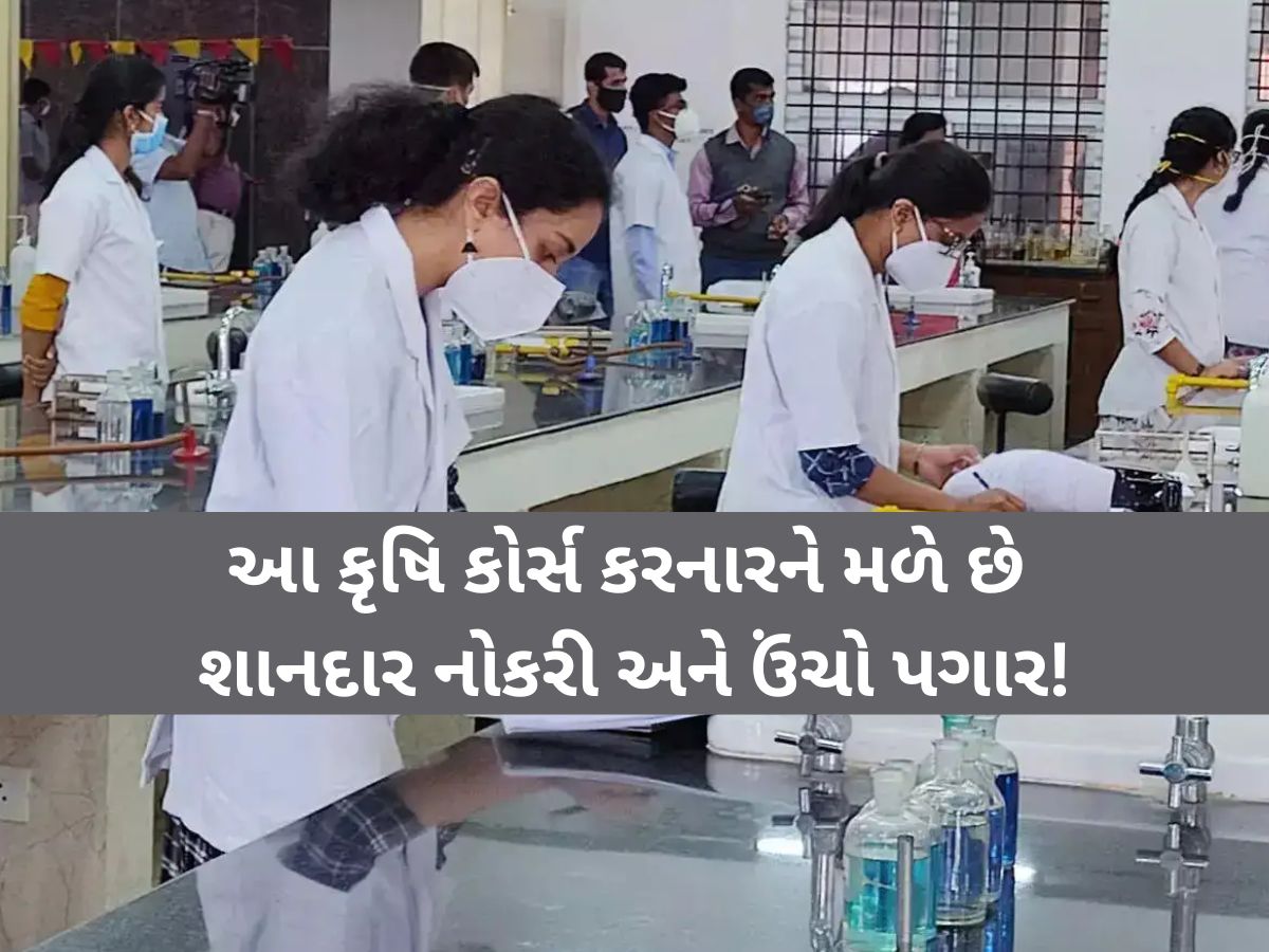 ધો.12 પછી શું કરવું? વિજ્ઞાન પ્રવાહના વિદ્યાર્થીઓ આ કૃષિ અભ્યાસક્રમોમાં બનાવી શકે છે કરિયર, મળશે ઉંચો પગાર! ધો.12 પછી શું કરવું? વિજ્ઞાન પ્રવાહના વિદ્યાર્થીઓ આ કૃષિ અભ્યાસક્રમોમાં બનાવી શકે છે કરિયર, મળશે ઉંચો પગાર!