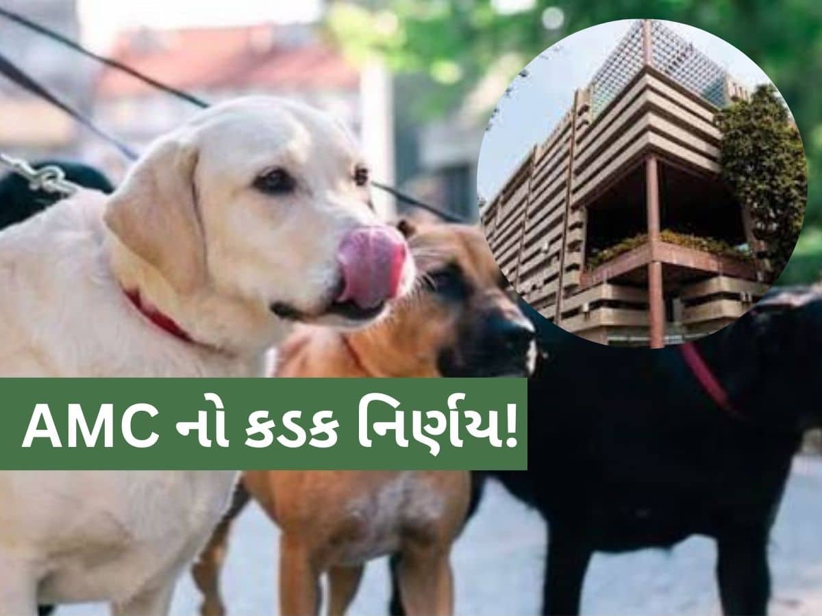 પાલતુ શ્વાનનું રજિસ્ટ્રેશન ફરજિયાત; નહીં માનો તો ઘર અને ઓફિસના નળ-ગટરના કનેક્શન કપાશે