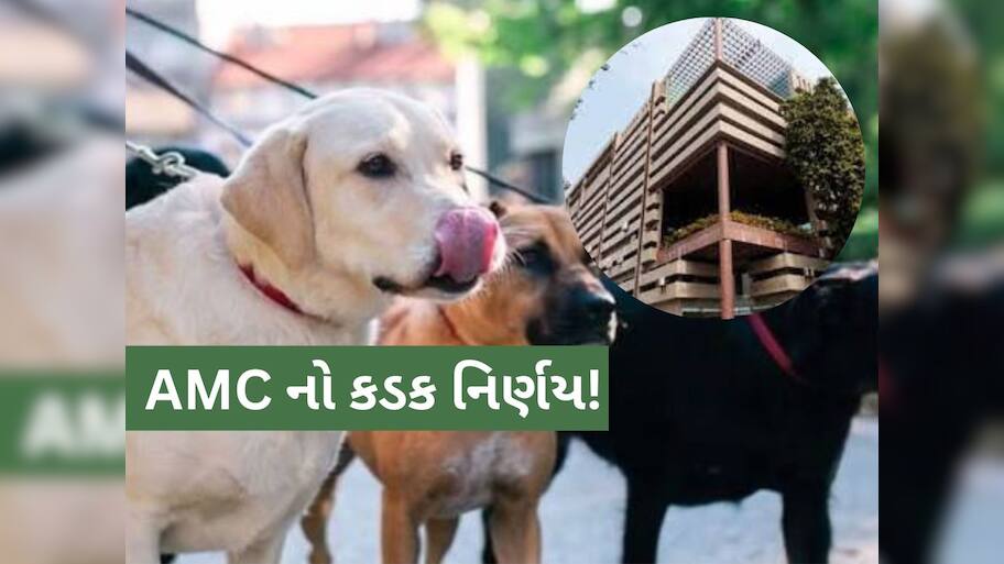 પાલતુ શ્વાનનું રજિસ્ટ્રેશન ફરજિયાત; નહીં માનો તો ઘર અને ઓફિસના નળ-ગટરના કનેક્શન કપાશે