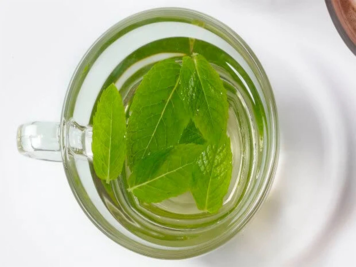 Healthy Drinks: સવારે ચા ને બદલે પી શકાય એવા 5 હેલ્ધી ડ્રિંક્સ, આ વસ્તુઓ આખો દિવસ શરીરને આપશે ઠંડક Healthy Drinks: સવારે ચા ને બદલે પી શકાય એવા 5 હેલ્ધી ડ્રિંક્સ, આ વસ્તુઓ આખો દિવસ શરીરને આપશે ઠંડક