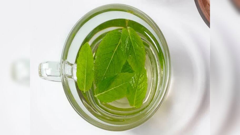 Healthy Drinks: સવારે ચા ને બદલે પી શકાય એવા 5 હેલ્ધી ડ્રિંક્સ, આ વસ્તુઓ આખો દિવસ શરીરને આપશે ઠંડક