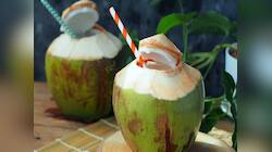 Coconut Water: આ 4 બીમારી હોય તેણે રોજ પીવું નાળિયેર પાણી, તબિયત ઝડપથી સુધરશે