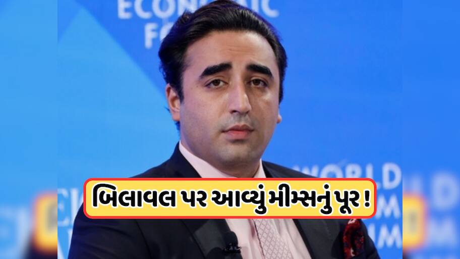 'રાત્રે કોણ હુમલો કરે છે...', બિલાવલે સંસદમાં આપ્યું એવું નિવેદન, ઉડી ખૂબ મજાક, જોયા પછી તમે હસવાનું રોકી નહીં શકો!