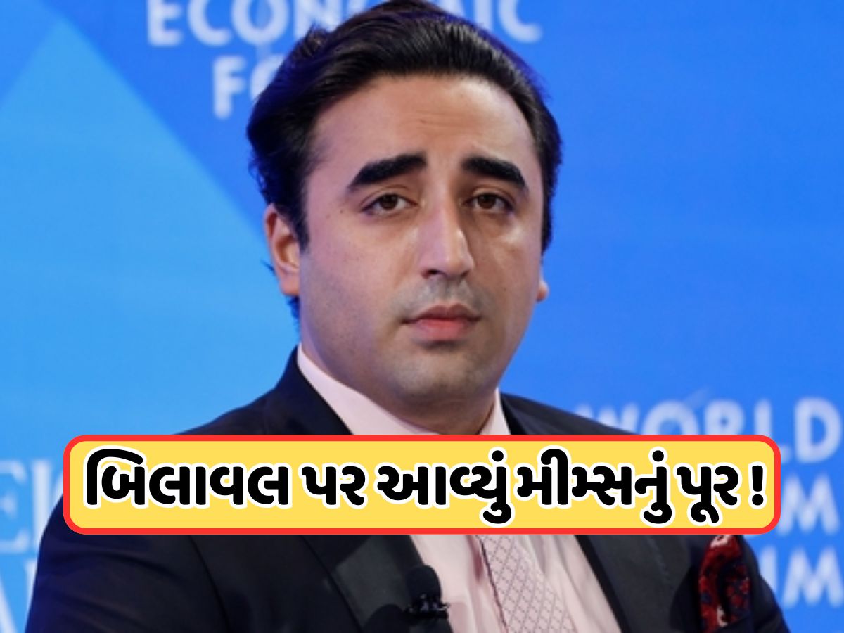 'રાત્રે કોણ હુમલો કરે છે...', બિલાવલે સંસદમાં આપ્યું એવું નિવેદન, ઉડી ખૂબ મજાક, જોયા પછી તમે હસવાનું રોકી નહીં શકો! 'રાત્રે કોણ હુમલો કરે છે...', બિલાવલે સંસદમાં આપ્યું એવું નિવેદન, ઉડી ખૂબ મજાક, જોયા પછી તમે હસવાનું રોકી નહીં શકો!