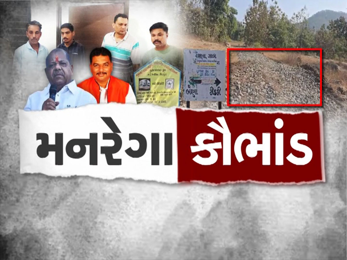 મંત્રી બચુભાઈના દીકરાએ સરકારનું કરોડોનું કરી નાખ્યું, આખરે શું છે દાહોદનું મનરેગા કૌભાંડ જાણી લો