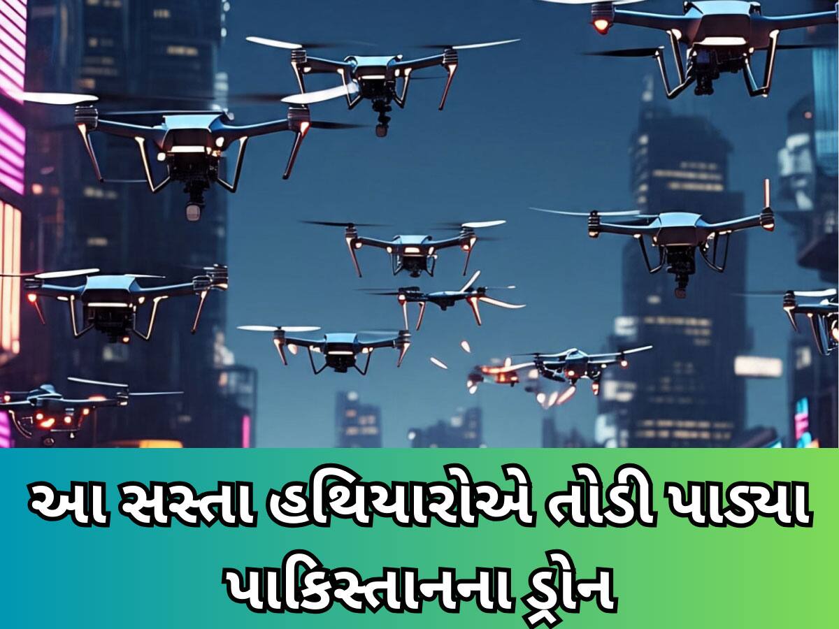 S-400 નહીં પરંતુ આ સસ્તા હથિયારોથી તોડી પાડ્યા હતા પાકિસ્તાનના 600થી વધુ ડ્રોન