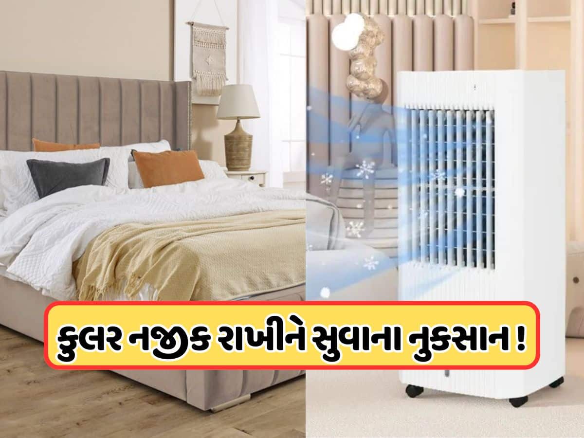અડધુ ભારત નહીં જાણતું હોય! બેડથી કેટલું દૂર રાખવું જોઈએ કુલર, જેના કારણે હવાથી કોઈ હાનિકારક અસર ન થાય ?