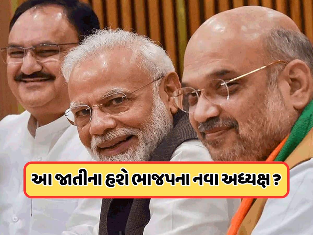 ભાજપ અધ્યક્ષ પદ માટે હવે ફક્ત 2 નામોની ચર્ચા, અટકળો તેજ... જાણો જાહેરાત ક્યારે થશે?