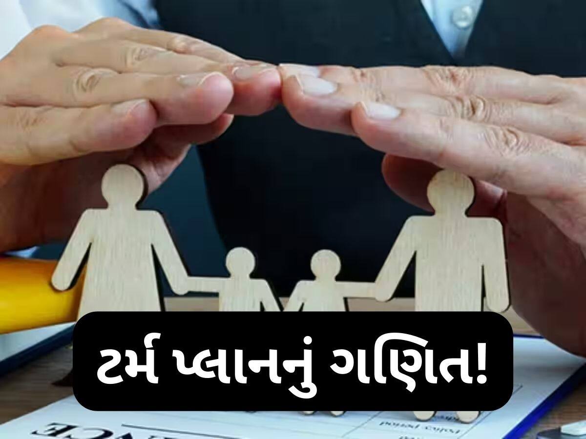  4 લોકોનો પરિવાર છે તો કેટલો લેવો જોઈએ ટર્મ ઈન્શ્યોરન્સ? આ ફોર્મ્યુલાથી થઈ જશે ગણતરી, તમે પણ જાણી લો
