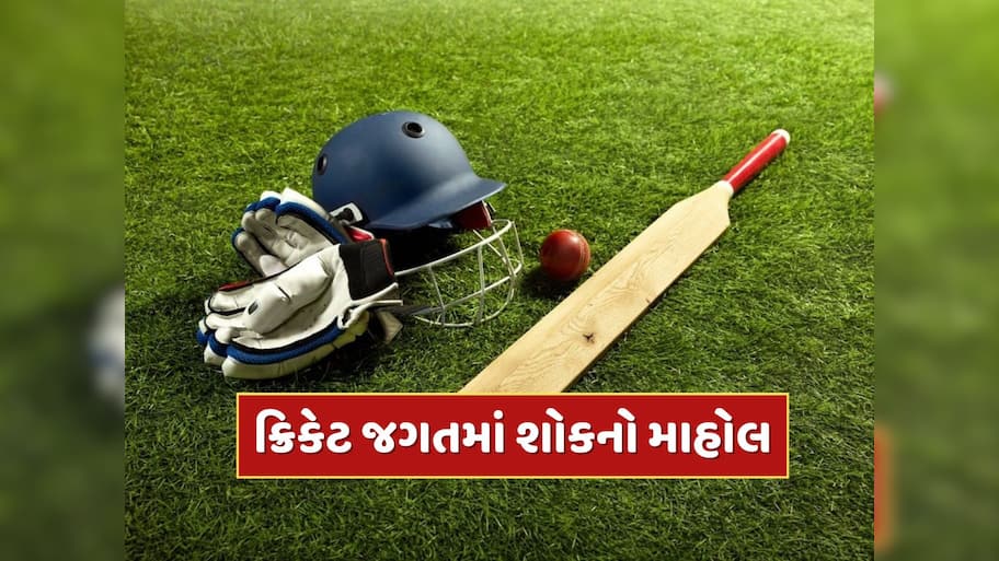 ક્રિકેટ જગતમાં શોકનો માહોલ, IPL દરમિયાન આ મહાન ક્રિકેટરનું નિધન, મુંબઈ સાથે છે ખાસ કનેક્શન