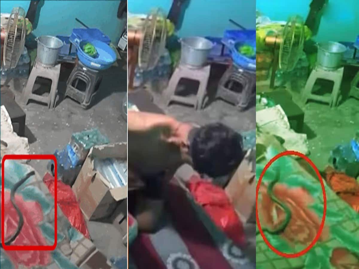 કેમેરામાં કેદ થયો મોતનો લાઈવ વીડિયો, નીંદર માણી રહેલા યુવકને સાપે ડંખ માર્યો