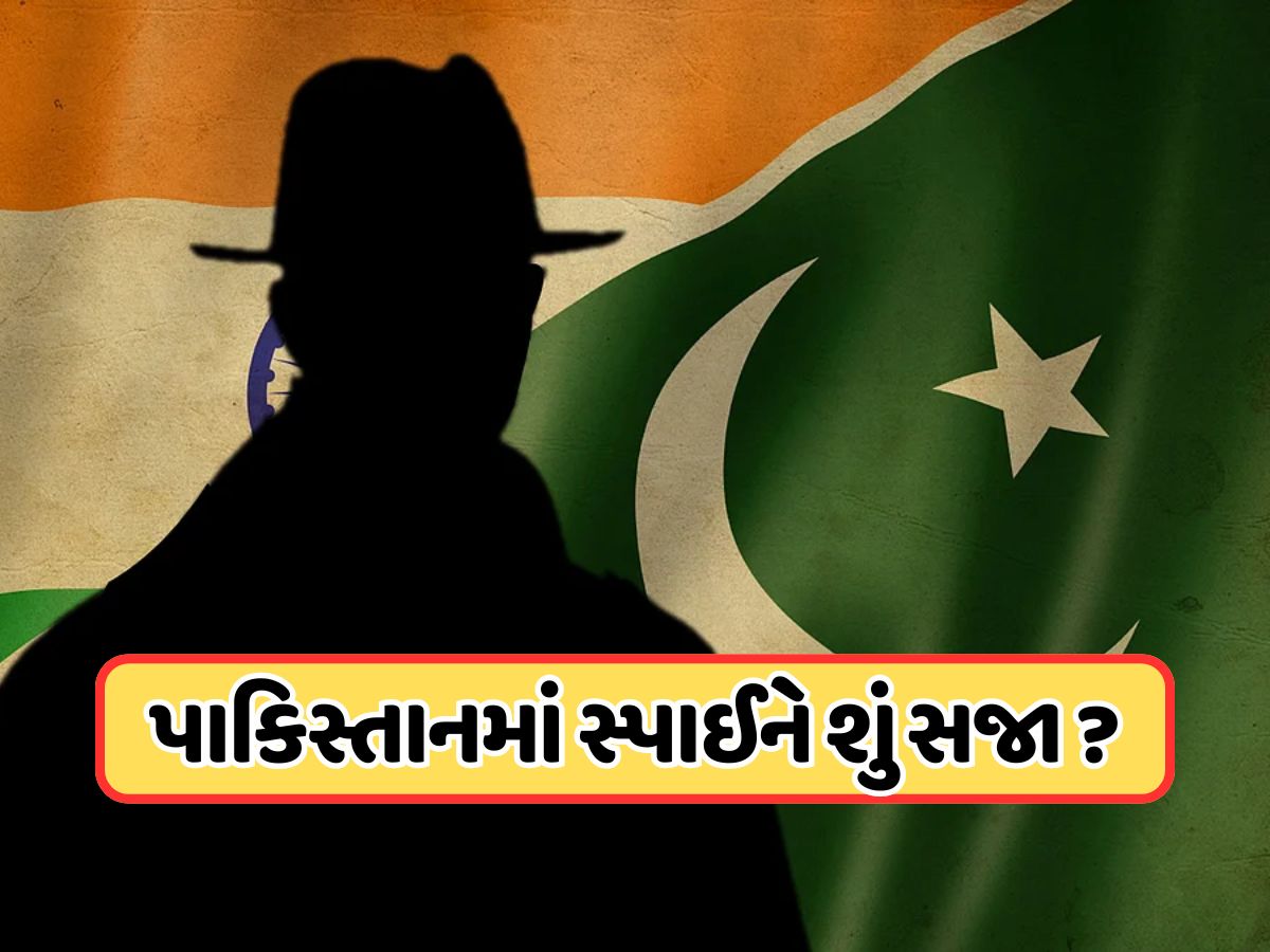 જાસૂસીના આરોપમાં પકડાઓ તો પાકિસ્તાનમાં શું થાય છે સજા? સાંભળીને તમે દંગ રહી જશો