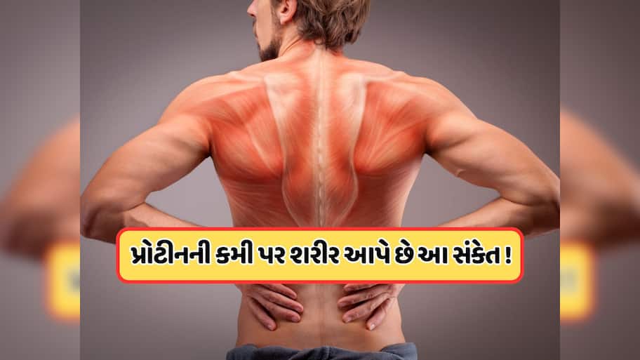 શરીરમાં ઘટી રહ્યું છે પ્રોટીનનું લેવલ, સ્નાયુ તૂટતા પહેલા આ સંકેતોને ઓળખો