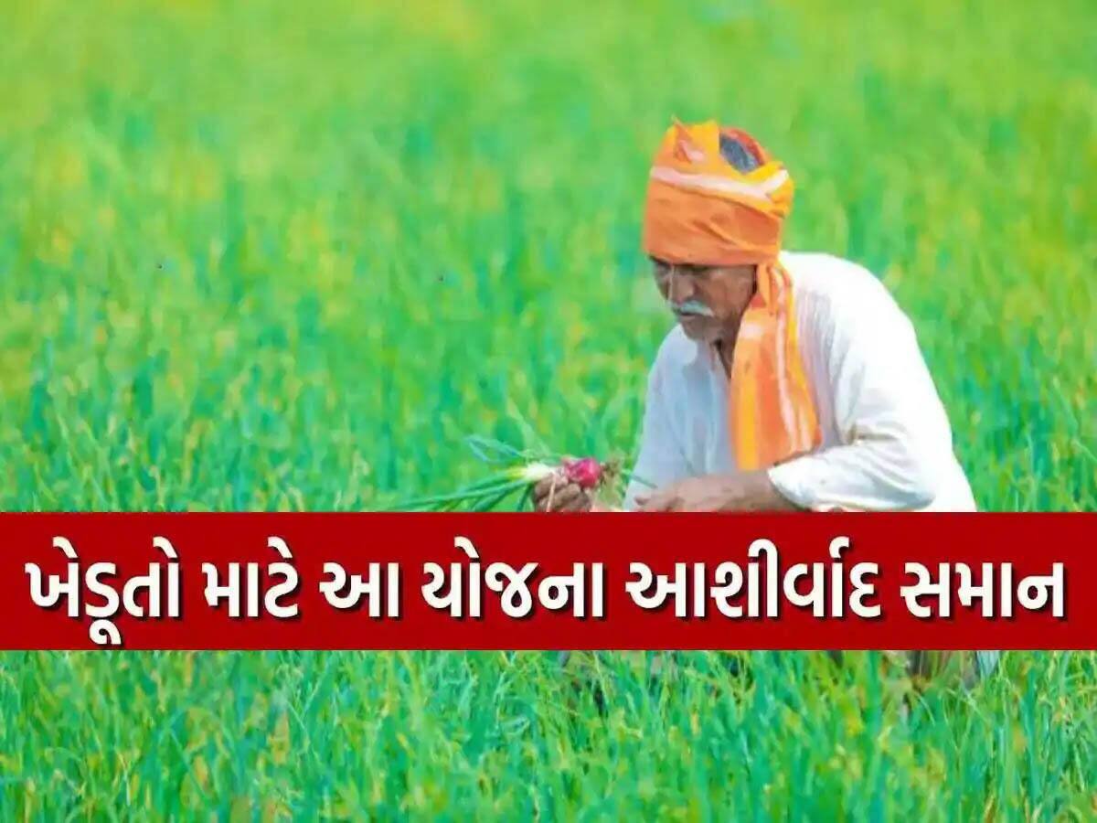 સરકાર તરફથી ખેડૂતોને સૌથી મોટી ભેટ: હવે સસ્તા દરે મળશે લોન, દેવામુક્ત થશે રાજ્ય 