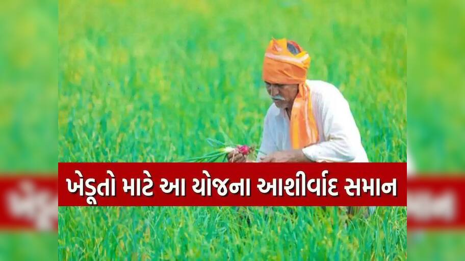 સરકાર તરફથી ખેડૂતોને સૌથી મોટી ભેટ: હવે સસ્તા દરે મળશે લોન, દેવામુક્ત થશે રાજ્ય 