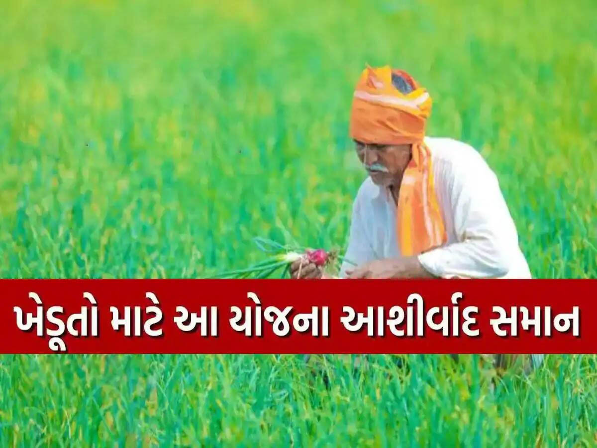 સરકાર તરફથી ખેડૂતોને સૌથી મોટી ભેટ: હવે સસ્તા દરે મળશે લોન, દેવામુક્ત થશે રાજ્ય સરકાર તરફથી ખેડૂતોને સૌથી મોટી ભેટ: હવે સસ્તા દરે મળશે લોન, દેવામુક્ત થશે રાજ્ય
