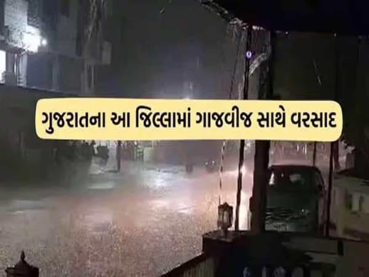 ગુજરાતના અનેક જિલ્લામાં જામ્યો વરસાદી માહોલ, ગોંડલ-વિસાવદર પંથકમાં ભારે પવન સાથે ધોધમાર વરસાદ