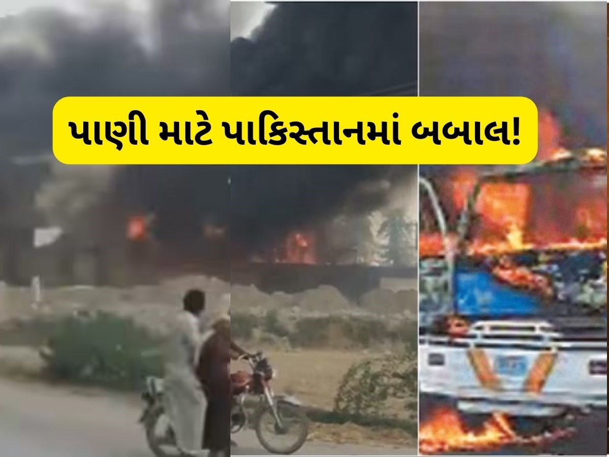 પાકિસ્તાનમાં ભડકો, ગૃહ યુદ્ધ થાય તેવી સ્થિતિ! પ્રદર્શનકારીઓએ સિંધના ગૃહમંત્રીનું ઘર ફૂંક્યું પાકિસ્તાનમાં ભડકો, ગૃહ યુદ્ધ થાય તેવી સ્થિતિ! પ્રદર્શનકારીઓએ સિંધના ગૃહમંત્રીનું ઘર ફૂંક્યું