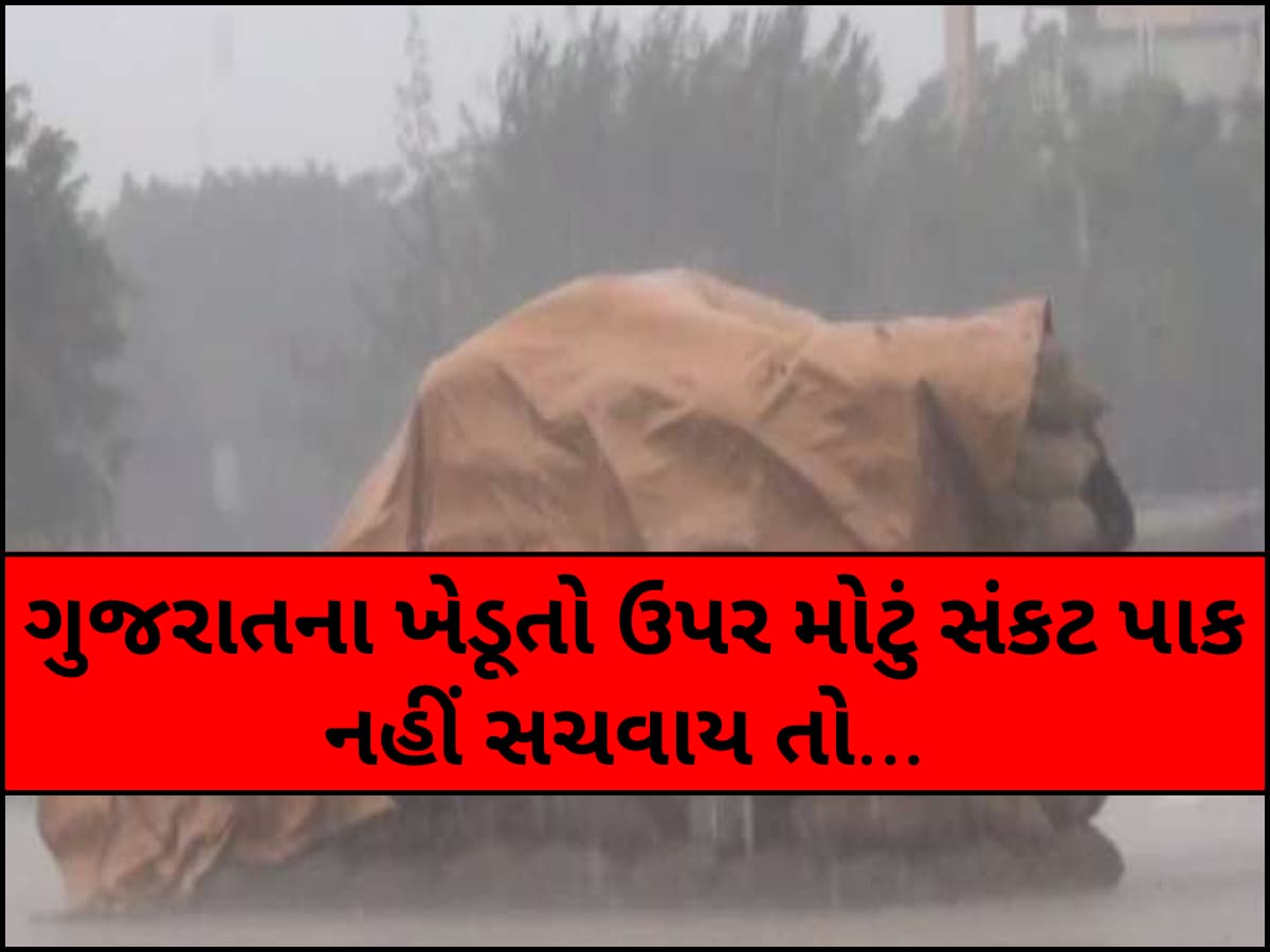 ગુજરાતમાં ભારે વરસાદના એંધાણ! યાર્ડમાં ખેડૂતોના માલને પલળતા અટકાવવા ખાસ સૂચના