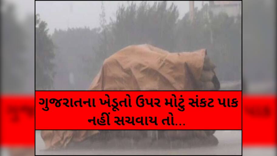 ગુજરાતમાં ભારે વરસાદના એંધાણ! યાર્ડમાં ખેડૂતોના માલને પલળતા અટકાવવા ખાસ સૂચના