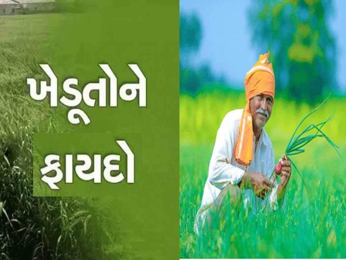 ખેડૂતો માટે સારા સમાચાર, ઘઉંની ખરીદી પર ટેકાના ભાવ ઉપરાંત મળશે આટલા રૂપિયાનું બોનસ